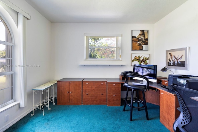 8350 SW 138th Ter, Palmetto Bay, FL 33158 - view of carpeted office