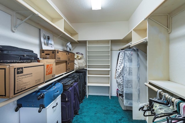 8350 SW 138th Ter, Palmetto Bay, FL 33158 - spacious closet featuring carpet flooring