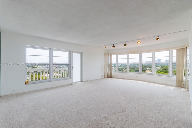 unfurnished living room featuring carpet