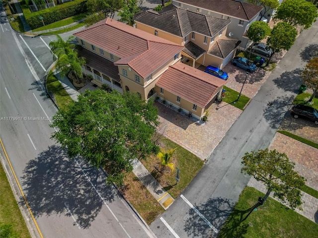 bird's eye view