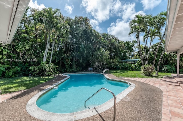13925 SW 74th Ave, Palmetto Bay, FL 33158 - pool featuring a patio and a lawn