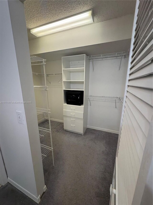10133 NW 24th Pl Unit 206, Sunrise, FL 33322 - spacious closet with dark colored carpet