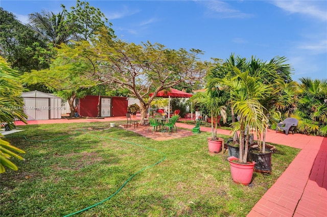 view of yard featuring an outbuilding, a patio area, and a storage shed