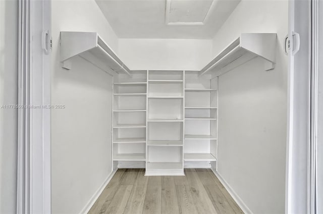 15600 NE 6th Ave Unit 30A, Miami, FL 33162 - spacious closet with wood finished floors and attic access