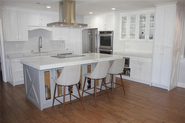 15106 N 97th Rd N, West Palm Beach, FL 33412 - kitchen featuring stainless steel appliances, a sink, white cabinetry, and island range hood