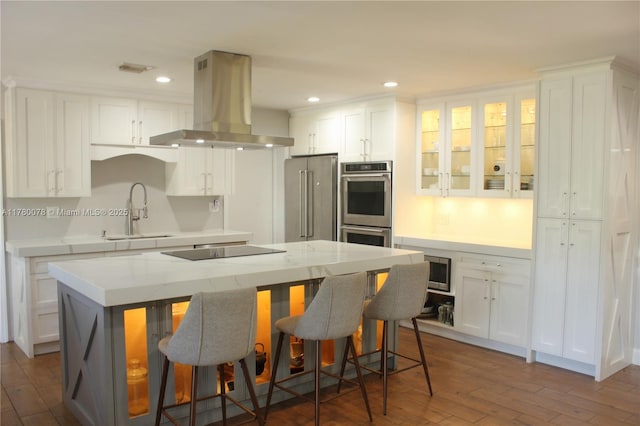 15106 N 97th Rd N, West Palm Beach, FL 33412 - kitchen with a sink, white cabinets, stainless steel appliances, and island range hood