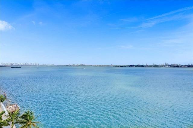 property view of water