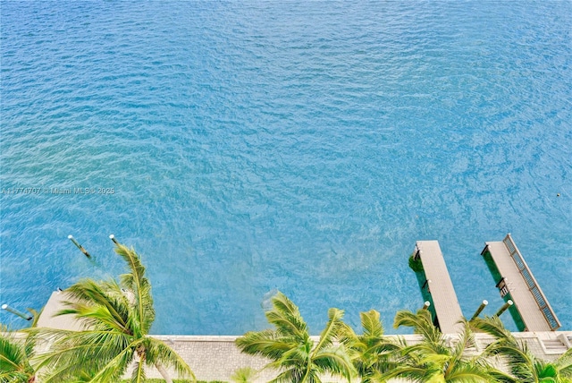 property view of water featuring a boat dock