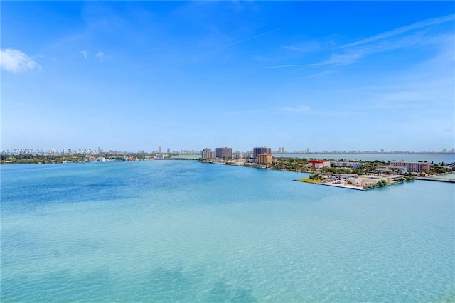 water view featuring a city view