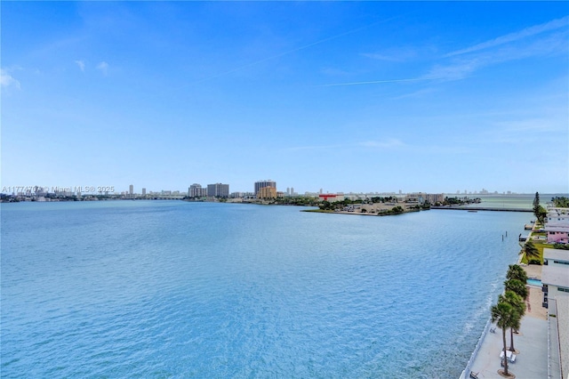 view of water feature with a view of city