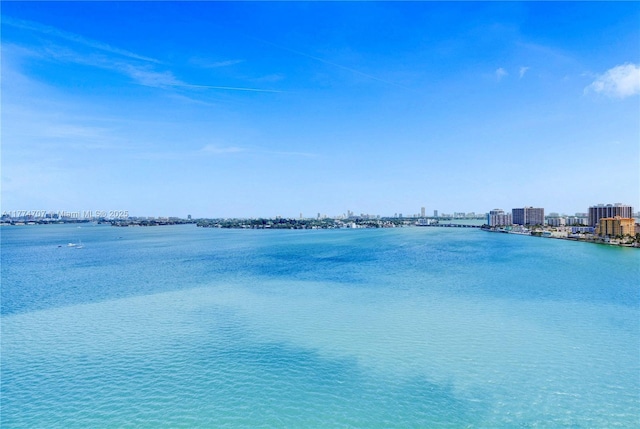 water view with a city view
