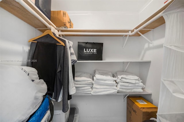 view of walk in closet