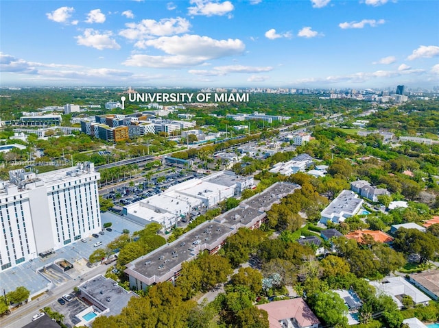 drone / aerial view
