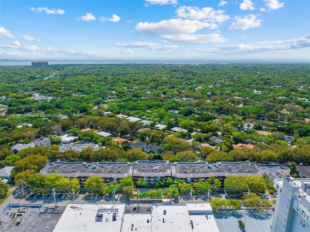 bird's eye view