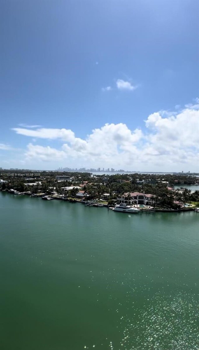 property view of water