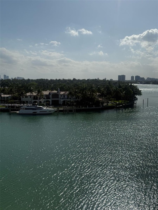property view of water
