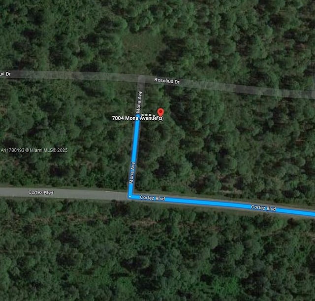 7004 Mona Ave, Sebring, FL 33872 - photo 2