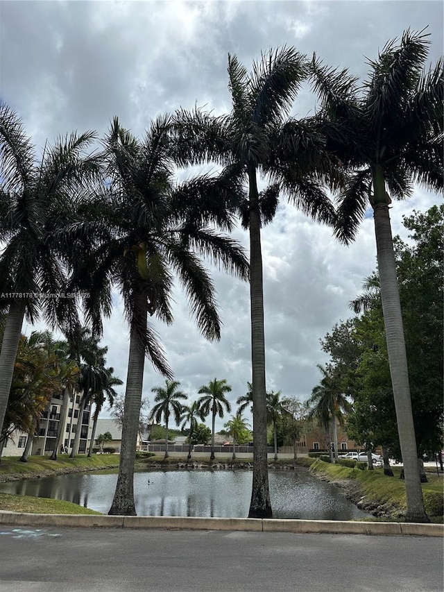 property view of water