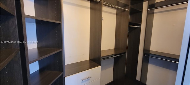view of walk in closet