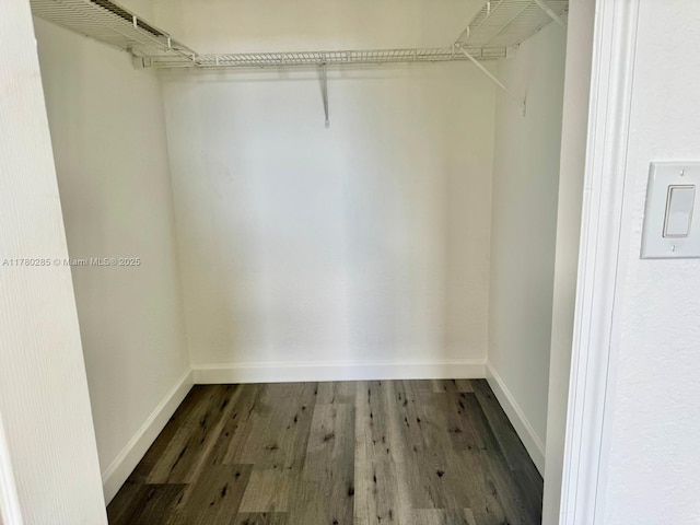 2524 SE 16th Rd Unit 201, Homestead, FL 33035 - spacious closet with dark wood-type flooring