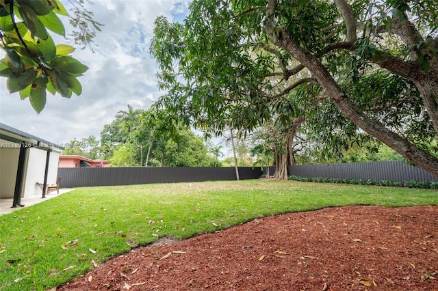 view of yard with a patio and a fenced backyard