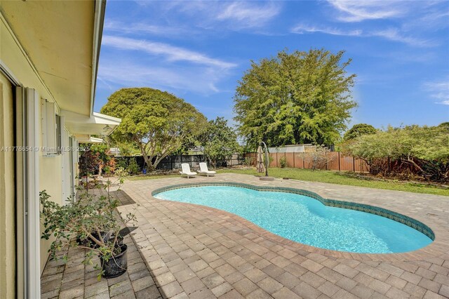 16395 SW 279th St, Homestead, FL 33031 - view of pool featuring a patio and a fenced backyard