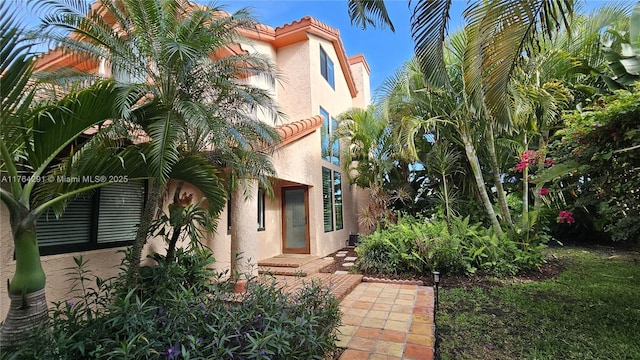 doorway to property featuring stucco siding and a tile roof
