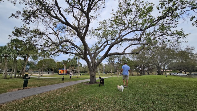 view of community with playground community and a lawn