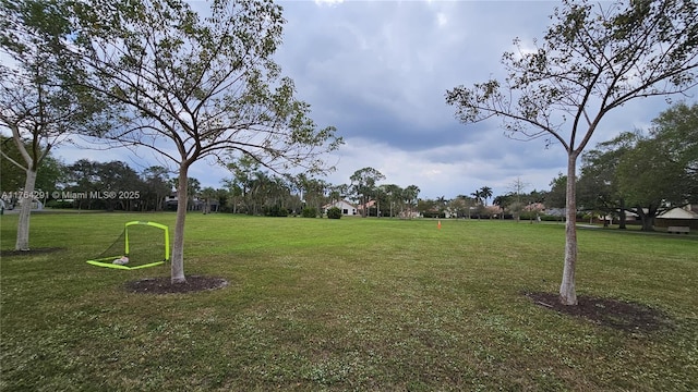 view of yard