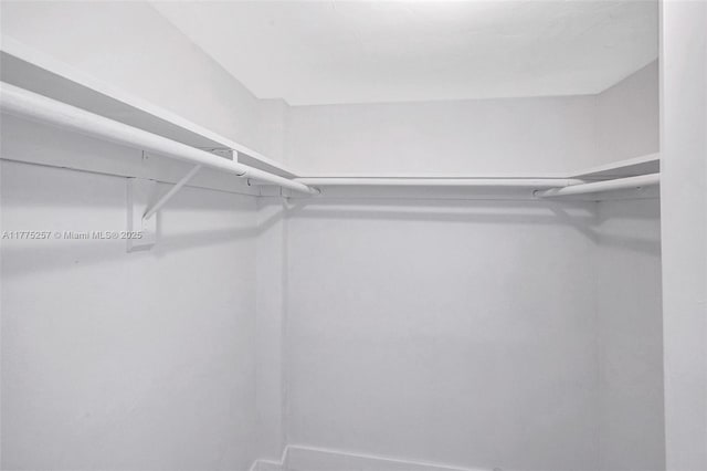 view of walk in closet