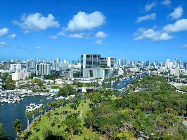 drone / aerial view with a city view and a water view
