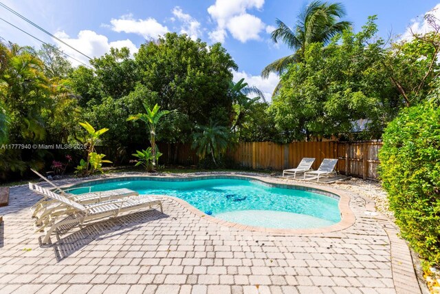 view of swimming pool with a fenced in pool, a fenced backyard, and a patio area