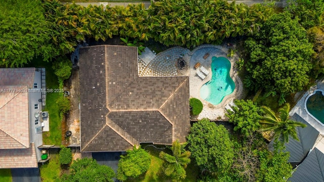 bird's eye view