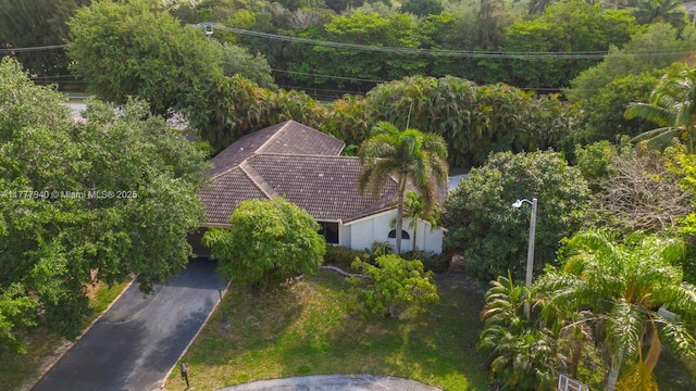 drone / aerial view featuring a view of trees