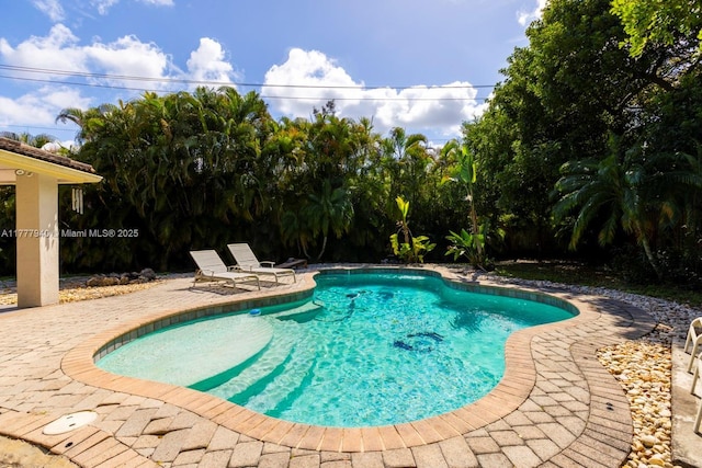 outdoor pool featuring a patio