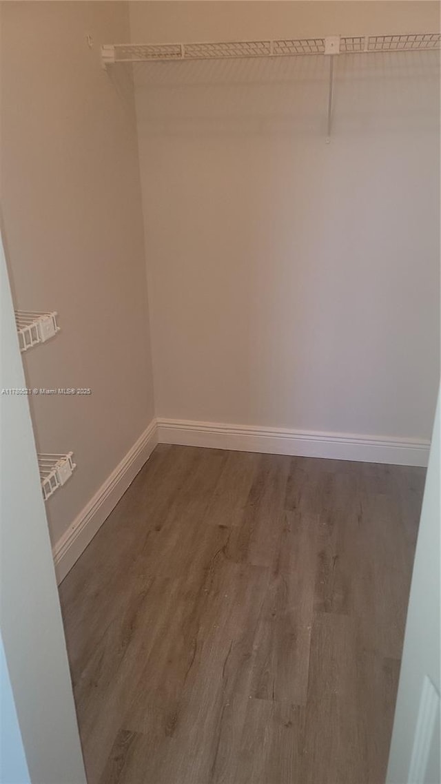 walk in closet featuring wood finished floors