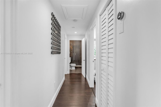 19050 SW 144th Ave, Miami, FL 33177 - hallway with dark wood finished floors and baseboards