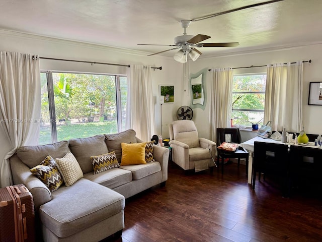 1734 Wiley St, Hollywood, FL 33020 - living area featuring a wealth of natural light, dark wood-style flooring, and a ceiling fan