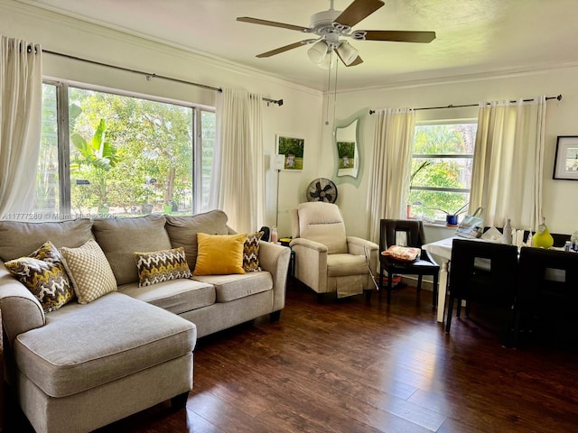 1734 Wiley St, Hollywood, FL 33020 - living area featuring dark wood-type flooring, ceiling fan, and plenty of natural light
