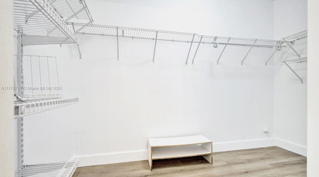 331 Ives Dairy Rd Unit 331-09, Miami, FL 33179 - walk in closet with wood finished floors