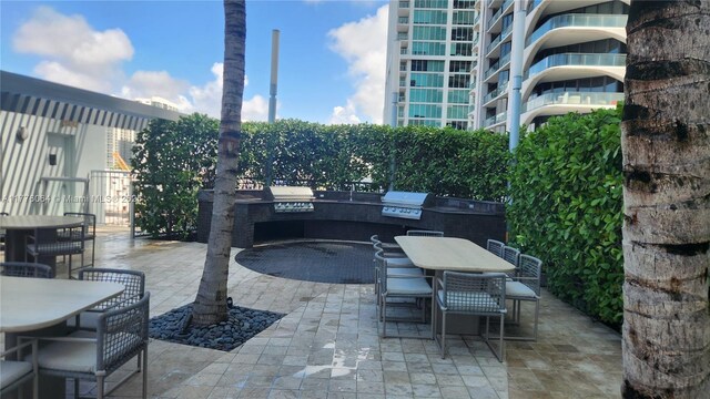 view of patio / terrace featuring outdoor dining space, an outdoor kitchen, and grilling area