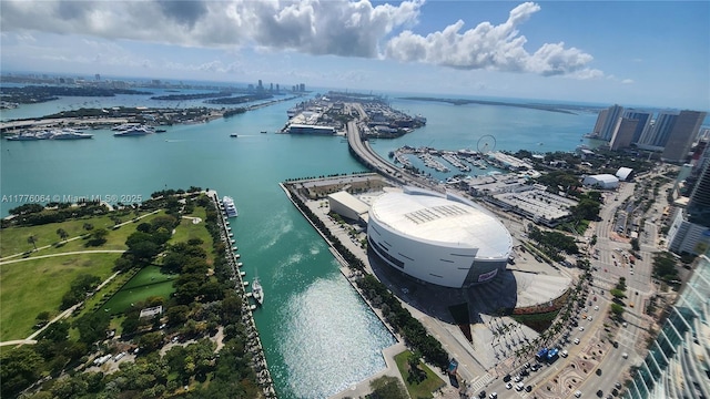 view of urban area featuring a large body of water and numerous boat docks