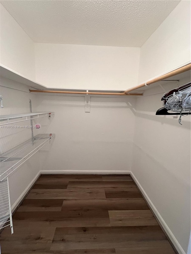 walk in closet with wood finished floors