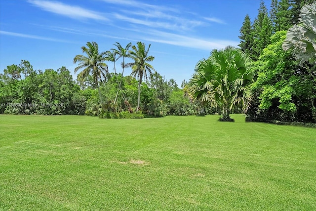 15000 SW 200th St, Miami, FL 33187 - photo 9