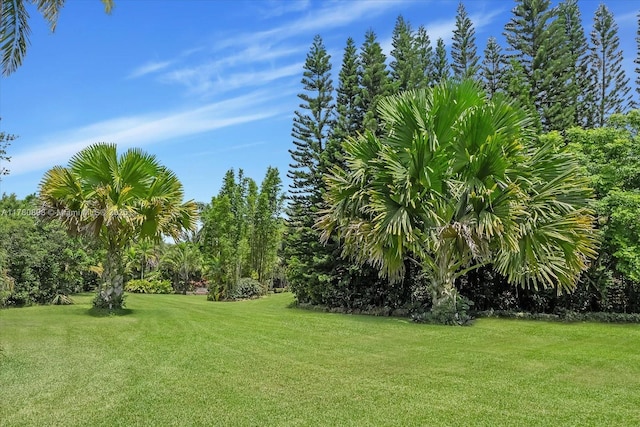 15000 SW 200th St, Miami, FL 33187 - photo 12