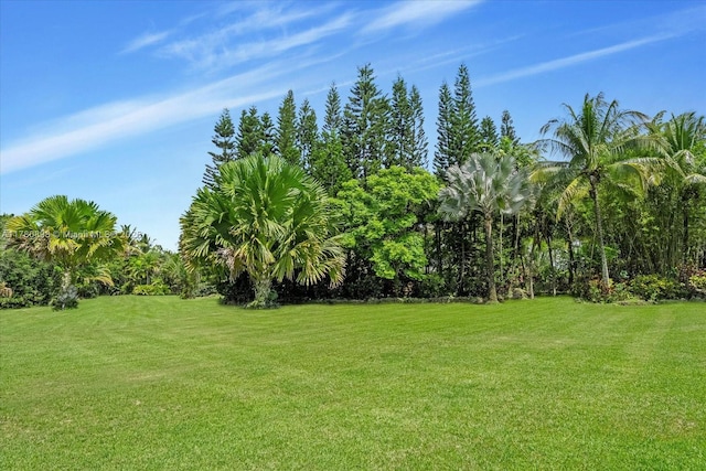 15000 SW 200th St, Miami, FL 33187 - photo 30