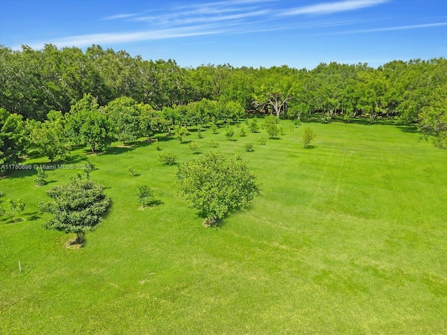 15000 SW 200th St, Miami, FL 33187 - photo 49