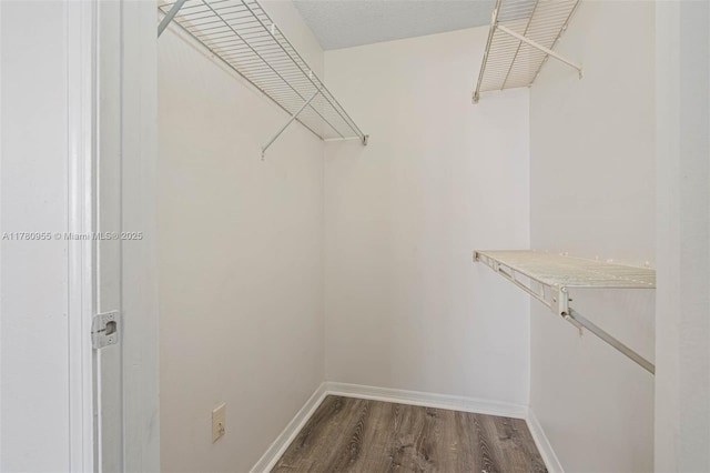 walk in closet featuring dark wood-style floors