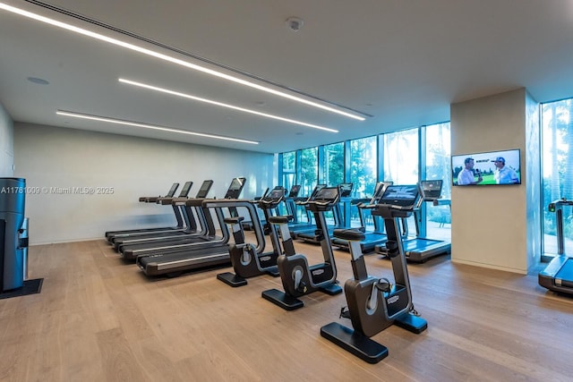 exercise room featuring floor to ceiling windows, wood finished floors, and a healthy amount of sunlight