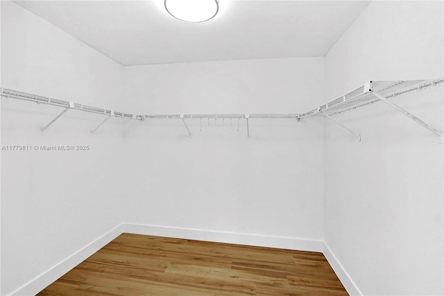 walk in closet featuring light wood finished floors